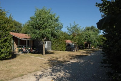 Chalet  Jardin EDEN 33m² - 2 bedrooms + sheltered terrace 9m²