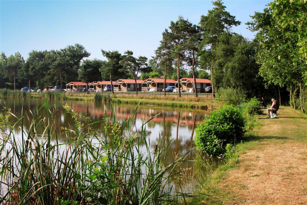 Location - Chalet Du Lac Eden 25M² - 2 Chambres + Terrasse Couverte 12M² - Camping La Bretonnière