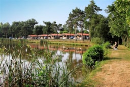 Accommodation - Chalet  Du Lac Eden 25M² - 2 Bedrooms + Covered Terrace 12M² - Camping Paradis La Bretonnière