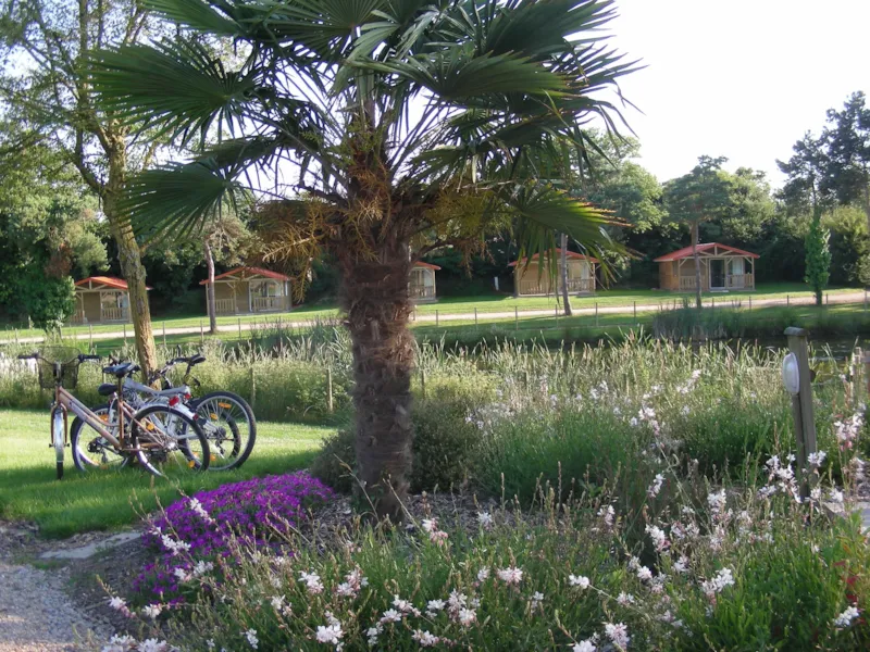 Chalet Du Lac Eden 25M² - 2 Chambres + Terrasse Couverte 12M²