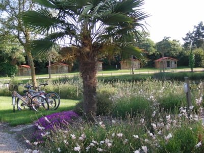 Chalet  du Lac EDEN 25m² - 2 bedrooms + covered terrace 12m²