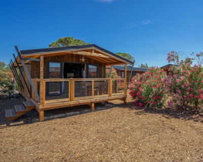 Lodge de l'étang PREMIUM+ 32m2 - 2 bedrooms + sheltered terrace 15m²
