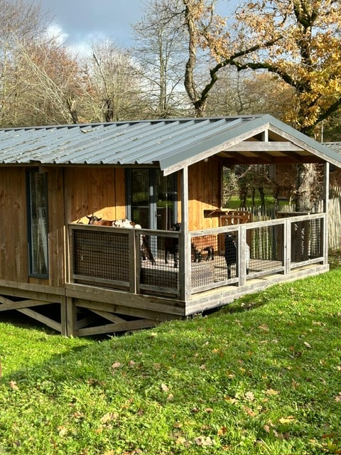 Lodge de l'étang PREMIUM+ 32m2 - 2 Zimmer + überdachte Terrasse 15m²