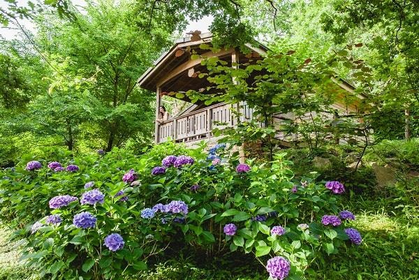 Hütte Ibardin (3 zimmer)