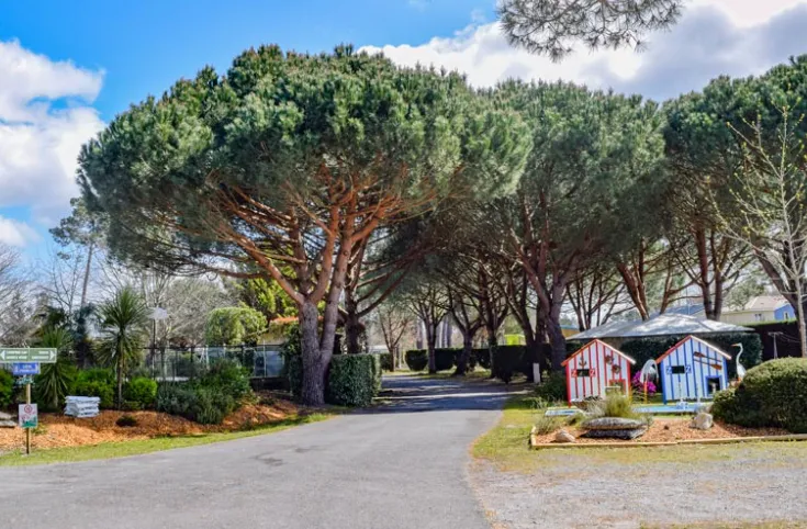 Camping Le Braou - image n°5 - UniversalBooking