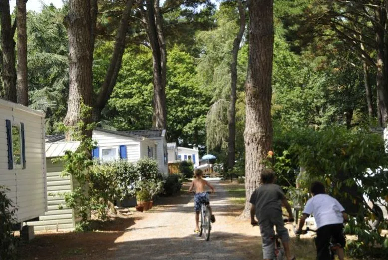 Camping Sunêlia le Petit Bois