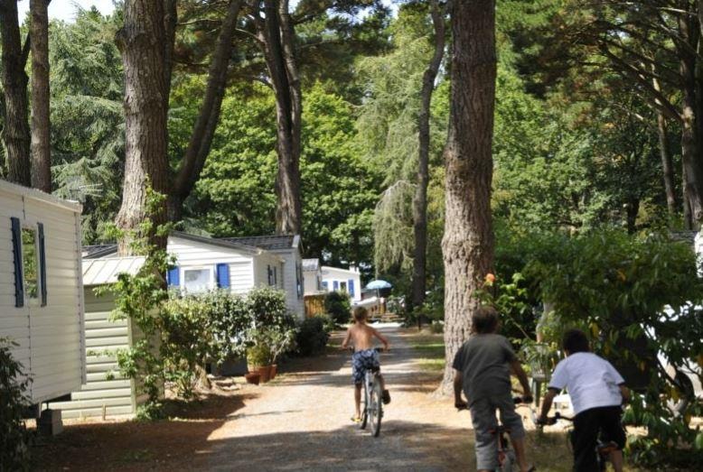 Camping Sunêlia le Petit Bois — Foto 4