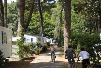 Camping Sunêlia le Petit Bois