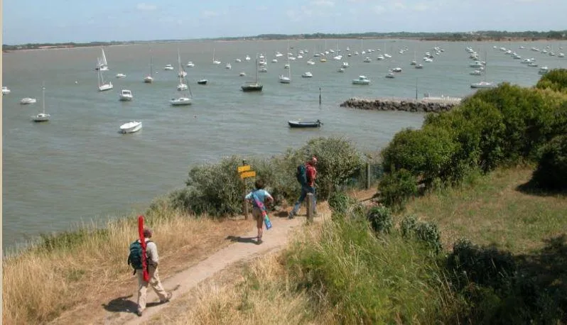 Camping Sunêlia le Petit Bois