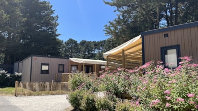 Camping Sunêlia le Petit Bois