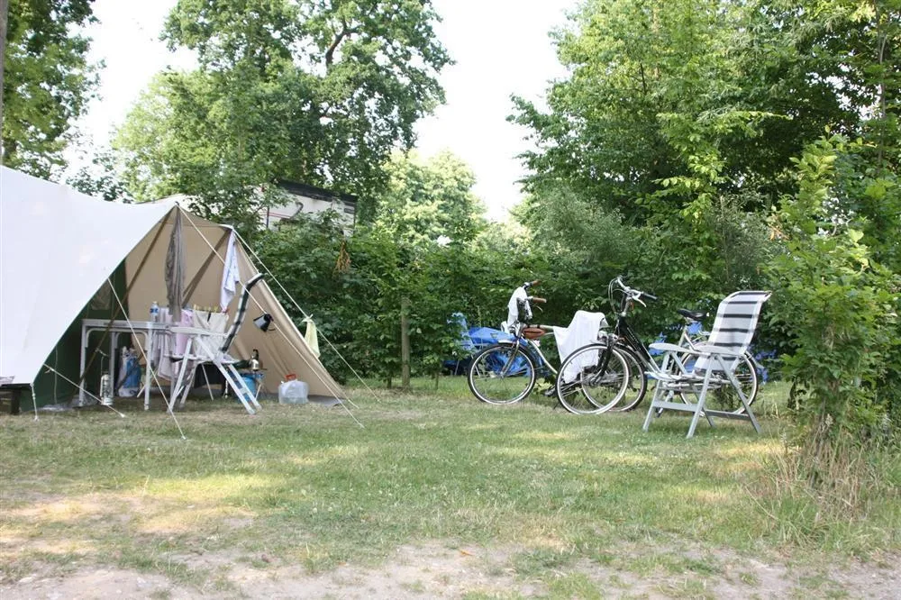 Camping de la Forêt - image n°5 - Camping Direct