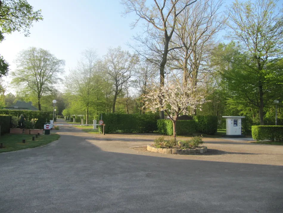 Camping de la Forêt