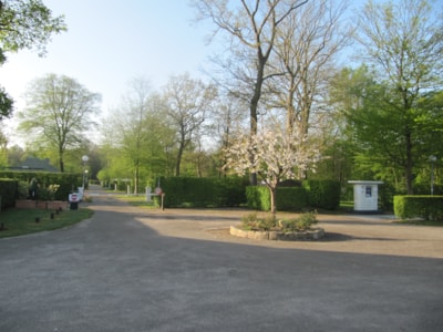 Camping de la Forêt