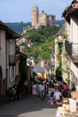 Foto #24 van Camping Qualité Le Paisserou