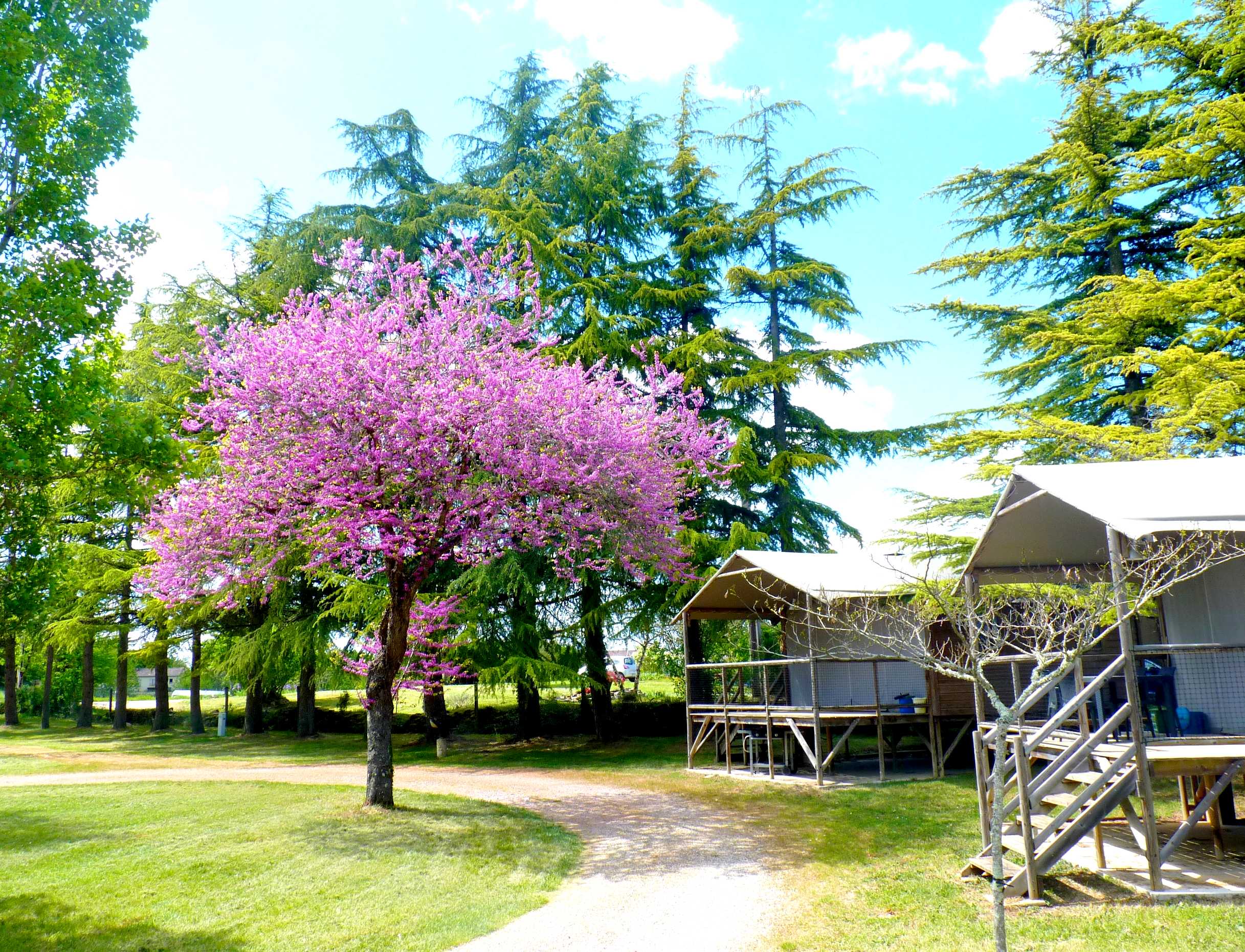 Accommodation - Cabin On Piles / 2 Bedrooms / Air Conditioning - Sheltered Terrace - Camping Quercy Vacances ****