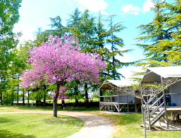 Accommodation - Acadian Lodge  / 2 Bedrooms / Air Conditioning - Sheltered Terrace - Camping Quercy Vacances ****