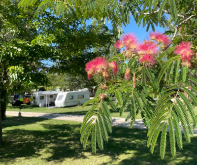 Pitch camping-car / caravan / tent