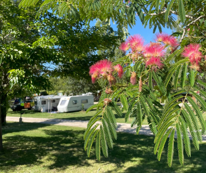 Emplacement Camping-Car / Caravane / Tente