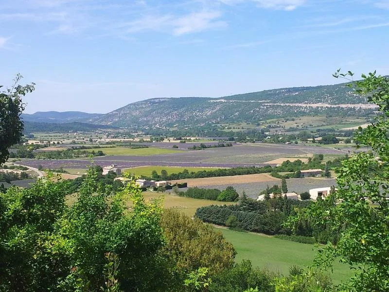 Flower Camping l'Epi Bleu - image n°31 - UniversalBooking