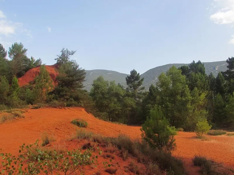 Flower Camping l'Epi Bleu - image n°41 - UniversalBooking