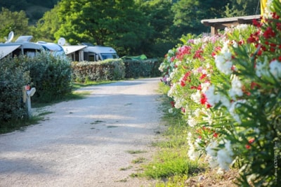 Comfort Package (1 tent, caravan or motorhome / 1 car / electricity 10A)