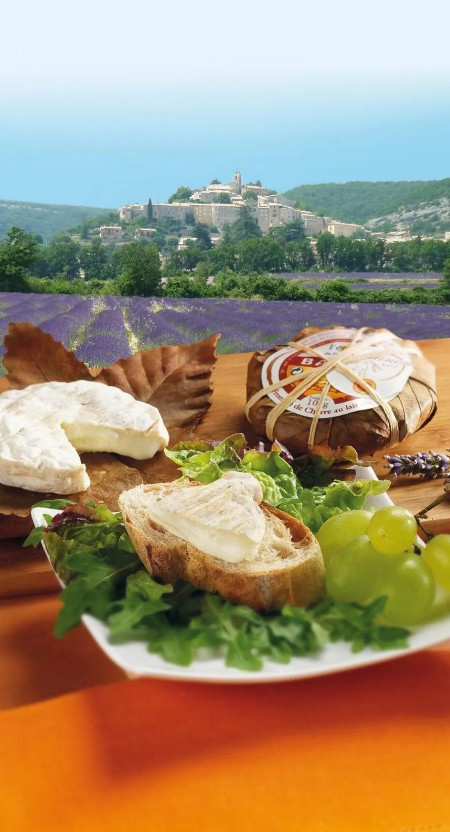 Flower Camping l'Epi Bleu - image n°45 - UniversalBooking