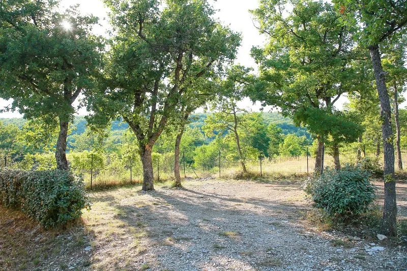 Forfait Randonneur (1 Personne / 1 Vélo / 1 Tente / Avec Électricité)