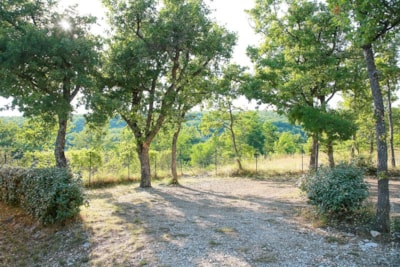 Trekking Package (1 person / 1 bike / 1 tent / + electricity)
