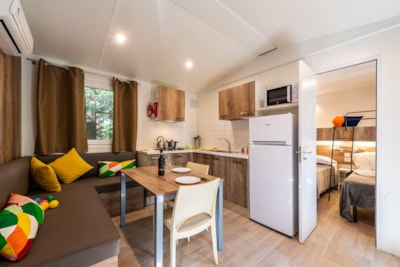 Mobile Home Deluxe — 2