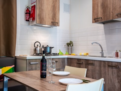 Mobile Home Deluxe — 9
