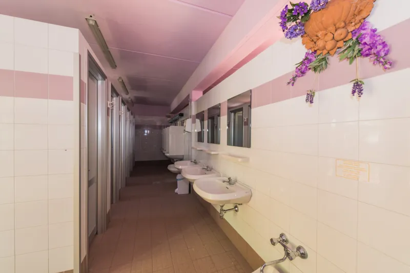 Emplacement Standard Pour Caravane, Camping Car Et Tente (Forfait De Base De 2 Personnes)