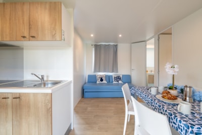 Mobile Home Superior