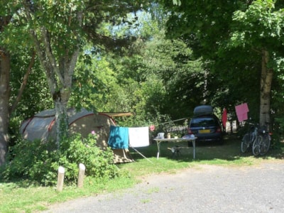 Pitch + tent or caravan