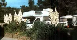 Grand Emplacement  + Auto