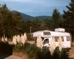 Emplacement Moyen + Auto