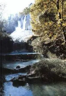 Camping Amiata - image n°12 - UniversalBooking