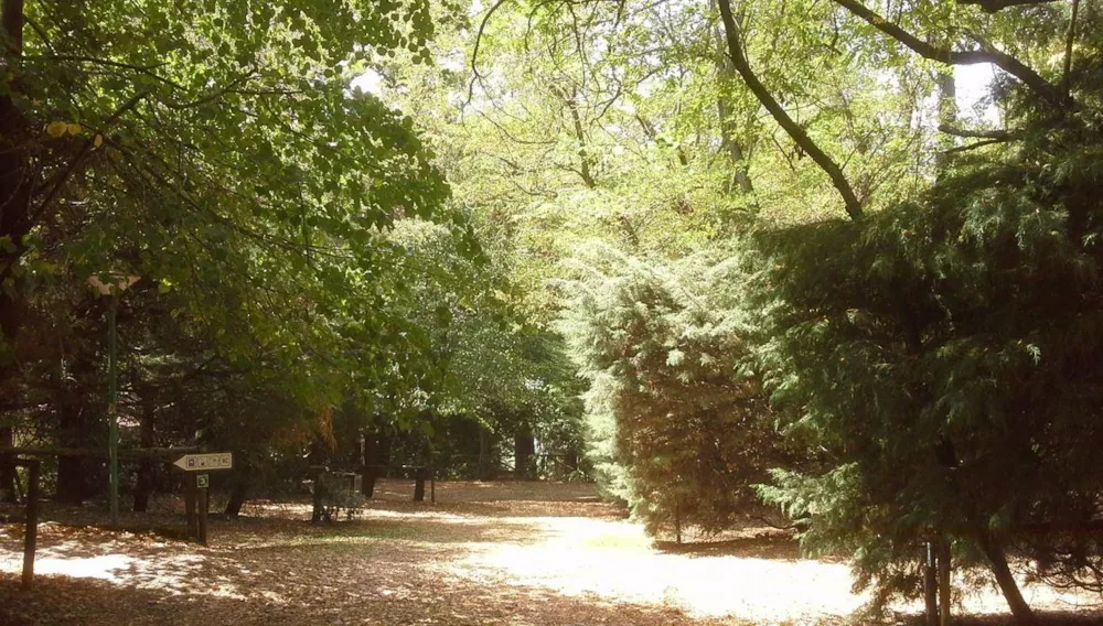 Camping Amiata - image n°3 - UniversalBooking