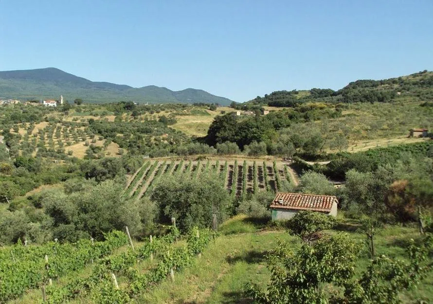 Camping Amiata - image n°1 - UniversalBooking