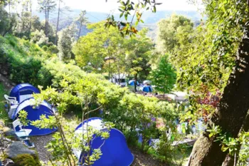 Stellplatz - Medium Tent 4.00 X 2,50 Mt - Villaggio Camping Valdeiva