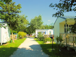 Flower Camping Cap Finistère - image n°5 - 