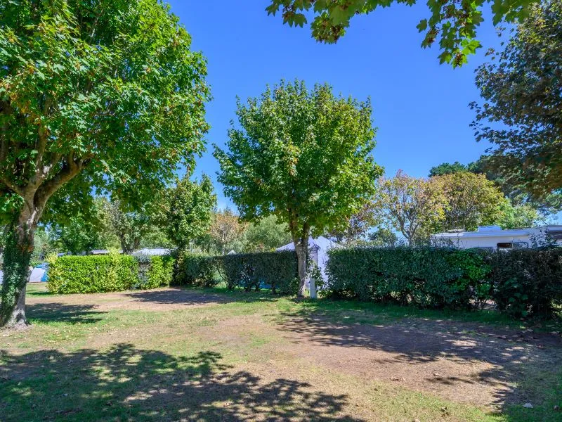 Forfait Confort (1 Tente, Caravane Ou Camping-Car / 1 Voiture / Électricité 10A)