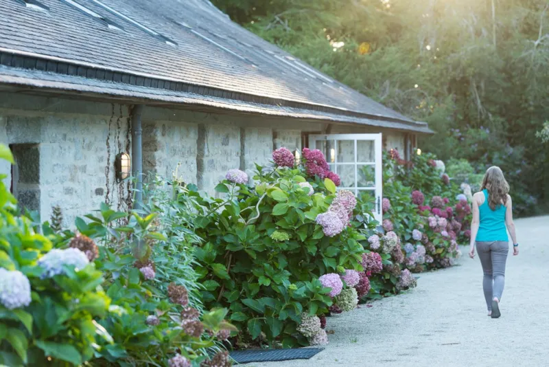 Emplacement Simple - Sans Électricité - 1 Véhicule