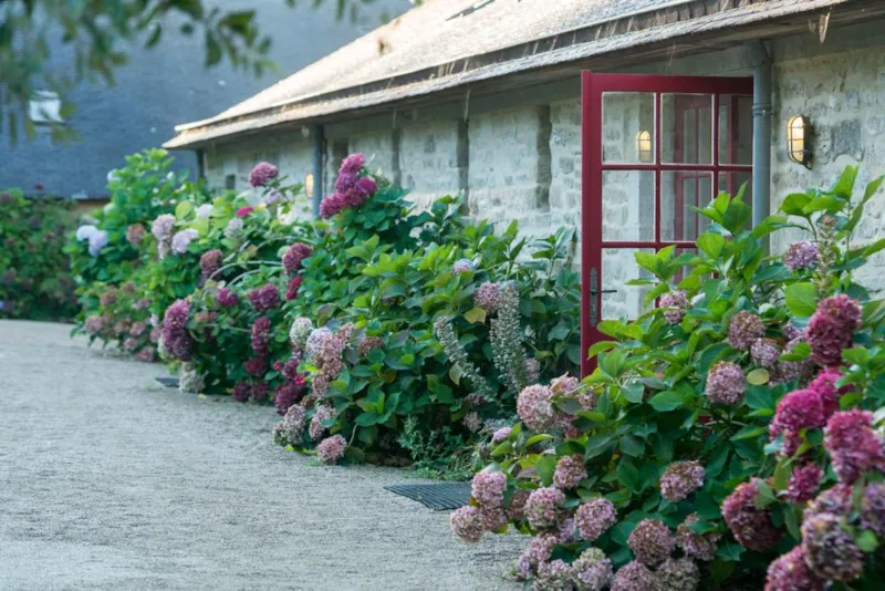 Emplacement Confort - >110 M² - Electricité 10A -Connexion  Eau - Evacuation Eau Grises - 1 Véhicule