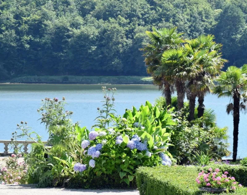 Emplacement Confort - >110 M² - Electricité 10A -Connexion  Eau - Evacuation Eau Grises - 1 Véhicule