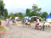 Camping Ile de la Comtesse