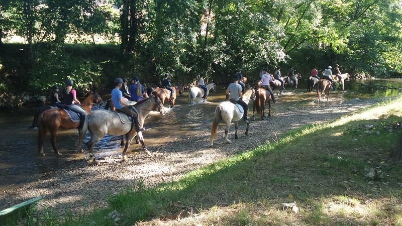 Camping Les Tourterelles — Photo 6