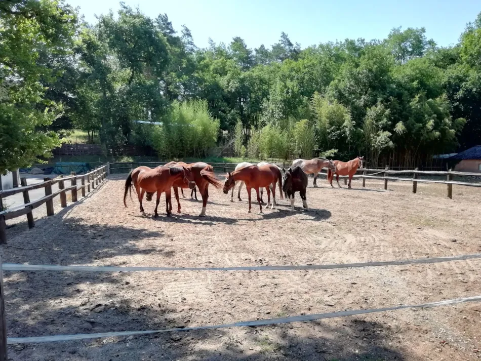 Camping Les Tourterelles
