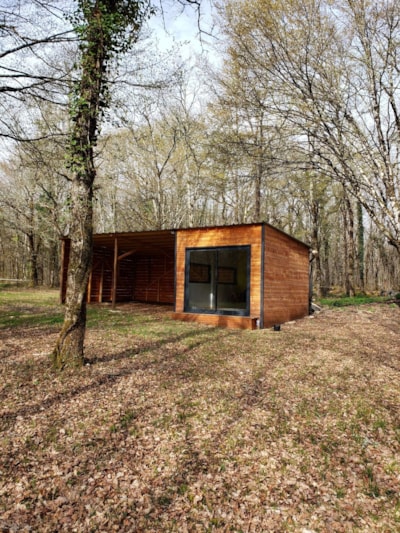 Room in the forest