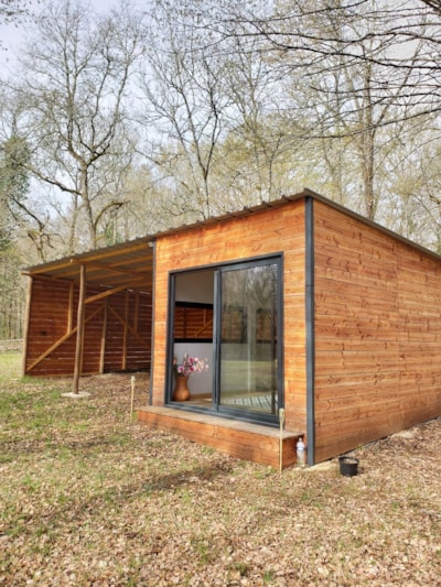 Room in the forest