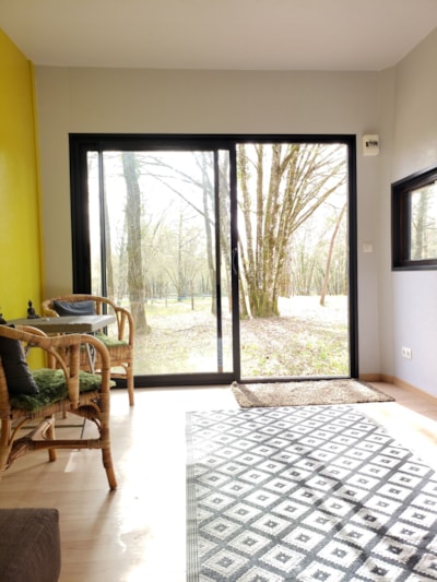Room in the forest